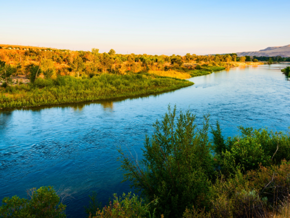 Boise River